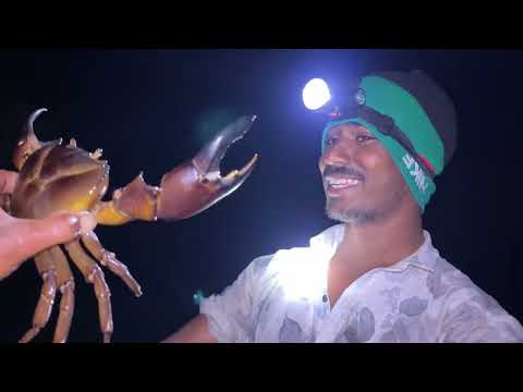 👁️🦀Best Amazing Technology Crab Catching - Unique Crabs & Tortoise Catching System #comedy #shorts 