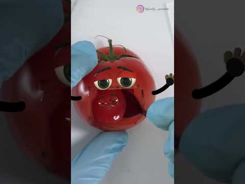 , title : 'Tomato C-Section - A Healthy Boy 😱🍅  #fruitsurgery #shorts  #animation #foodsurgery #cute #baby'