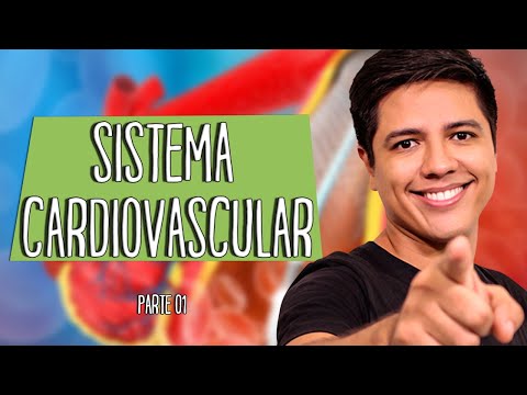 SISTEMA CIRCULATÓRIO OU CARDIOVASCULAR - Parte 01 - Prof. Kennedy Ramos