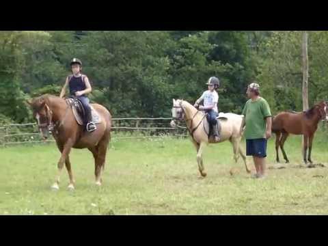 2 aug 2014, lectia de echitatie nr 3, Andrei