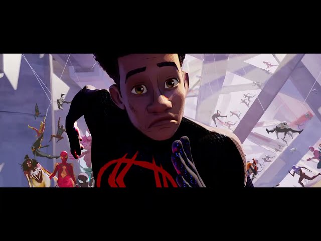 Spider Zoo :15