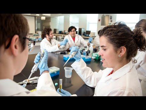 Bioengineering Uiuc Curriculum Map