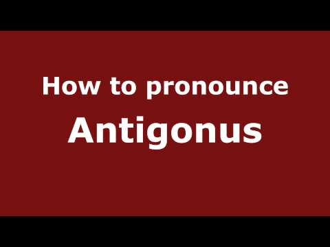 How to Pronounce Antigonus - PronounceNames.com