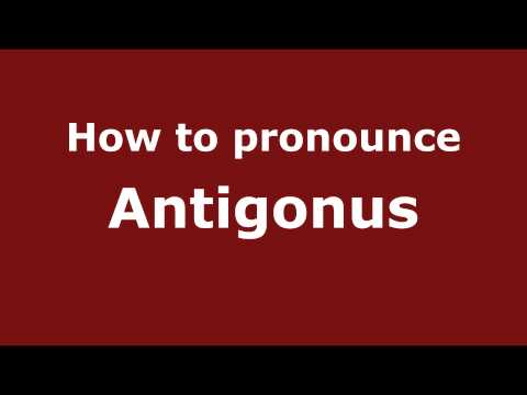 How to pronounce Antigonus