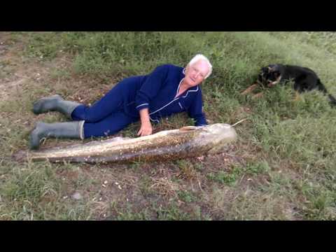 Un Colt De Rai Bulzesti Craiova Dolj