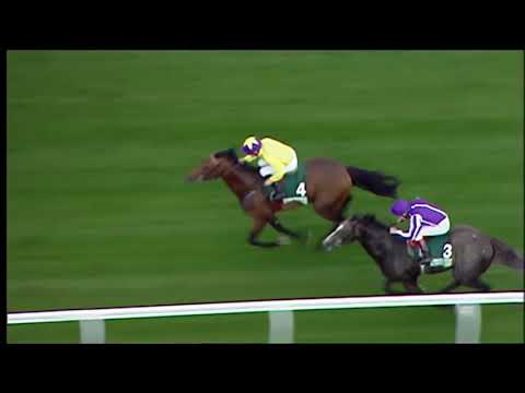 SEA THE STARS - A horse of a lifetime