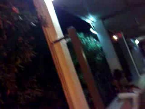 guinnes world record camping campofreddo 1