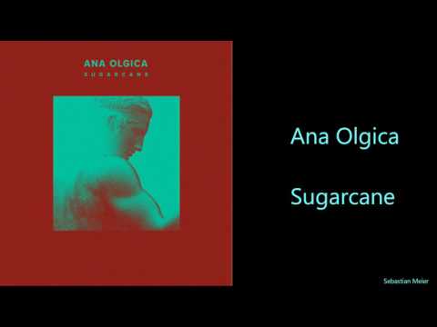 Sugarcane by Ana Olgica
