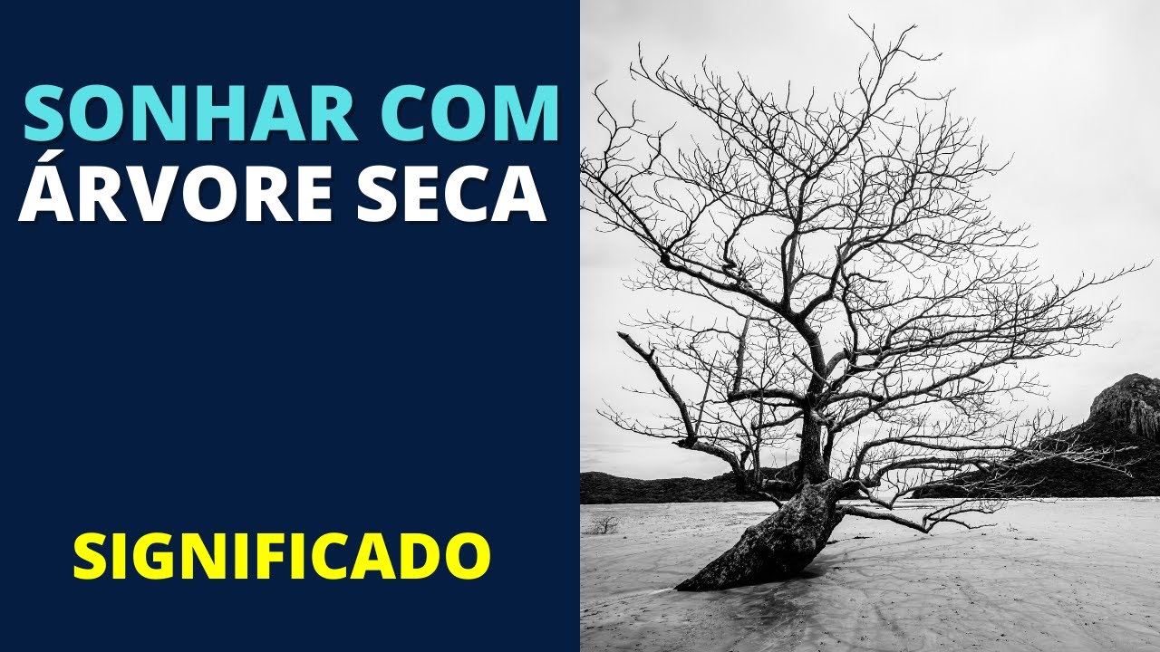 Sonhar com ÁRVORE SECA - Entenda o significado