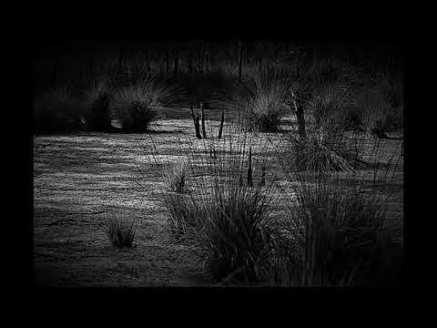 Zmarchrob - Zmarchrob - Na blatech