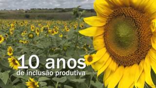 Miniatura do vídeo