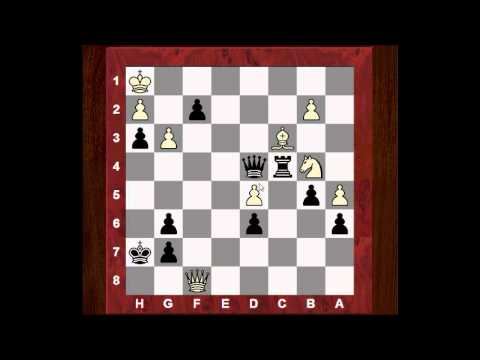 A mega-dangerous passed pawn! Kayden W Troff vs Jan-Krzysztof Duda - Tata Steel 'B' Group 2014