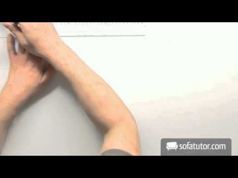 Ganzrationale Funktionen: Stammfunktionen ermitteln | Mathematik | Analysis