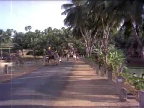 Karimbana - Kombil kilukkum ketti