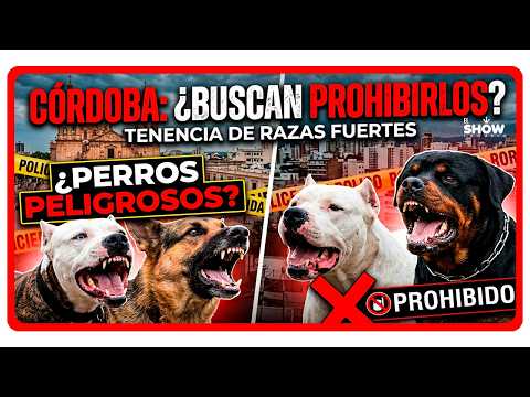 Avanza el proyecto para prohibir perros peligrosos en Cordoba y endurecer las sanciones a los dueños