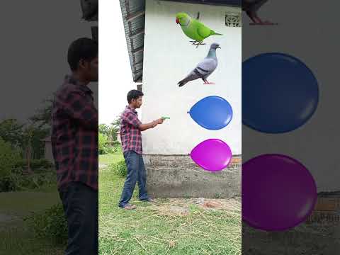 July 20, 2023 Balloon 🎈 to Parrot, Pigeon, Peacock & duck - Funny vfx video