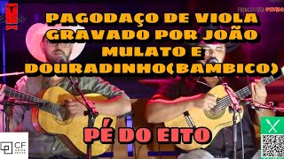 Download lagu Júnior Violeiro e Fernando Viola - Tributo ao João Mulato mp3