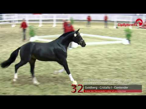 32 Junghengst v. Goldberg - Cristallo I