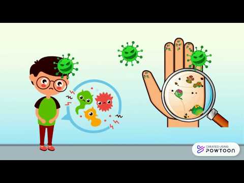 Você sabe o que são microrganismos?