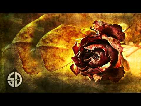 Five Seasons - Sweet Secrets