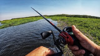 River Topwater Fishing fun