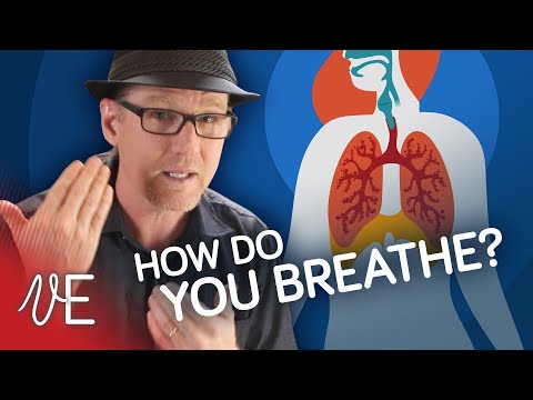Top Breathing Exercises to Improve Your Singing Voice | #DrDan 🎤