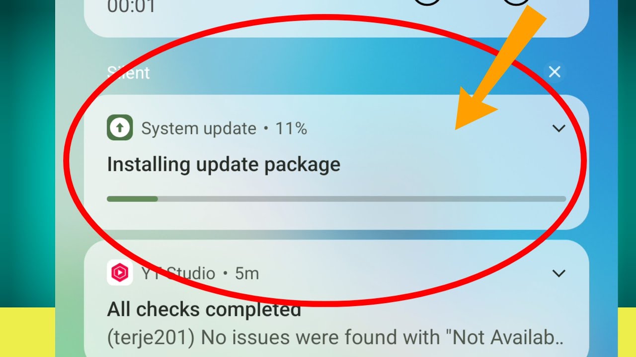 Installing Update Package Vivo Problem 