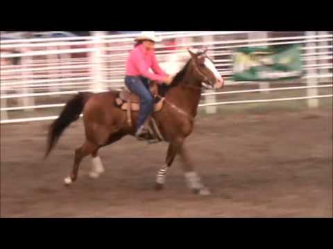 2012 Clearwater MSRA Rodeo - Streakin Senor Dash