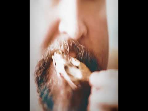 Video thumbnail for Chicken Terror
