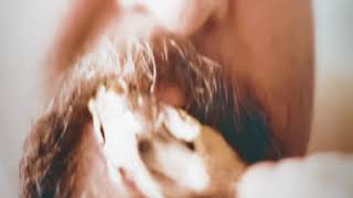 Marsimoto - Chicken Terror