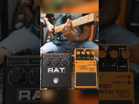 BOSS DS-2 or PROCO RAT 2 // What's your FAVORITE DISTORTION PEDAL? #guitar #distortionpedal #nirvana