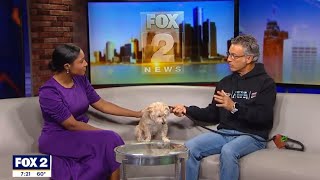 Mike and Jessi Chat (and Bark) with Fox 2 Detroit's Liz Lewin About the Meet Your Best Friend Event!