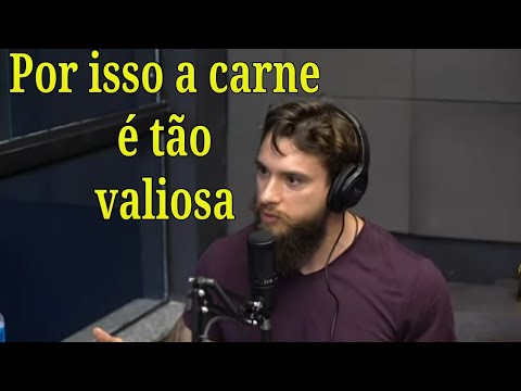 GORILA E SUA ESTRATÉGIA ALIMENTAR