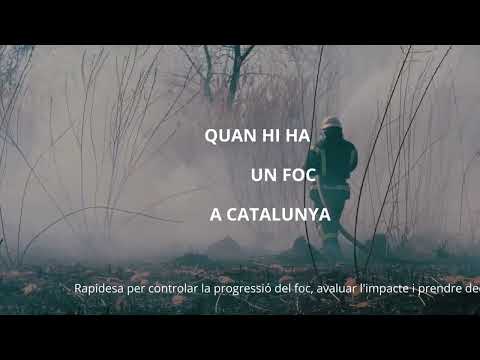 Focs.cat