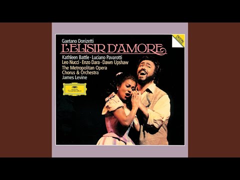 Donizetti: L'elisir d'amore / Act II: "Ei corregge ogni difetto"