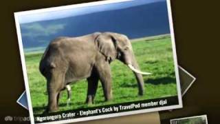 Ngorongoro Crater - Tanzania