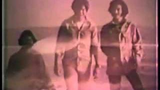 Sandpipers - Come Saturday Morning (Promo)