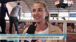 Miniatura do vídeo