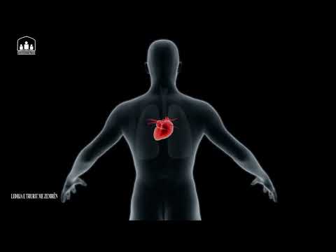 Lidhja e trurit me zemrën