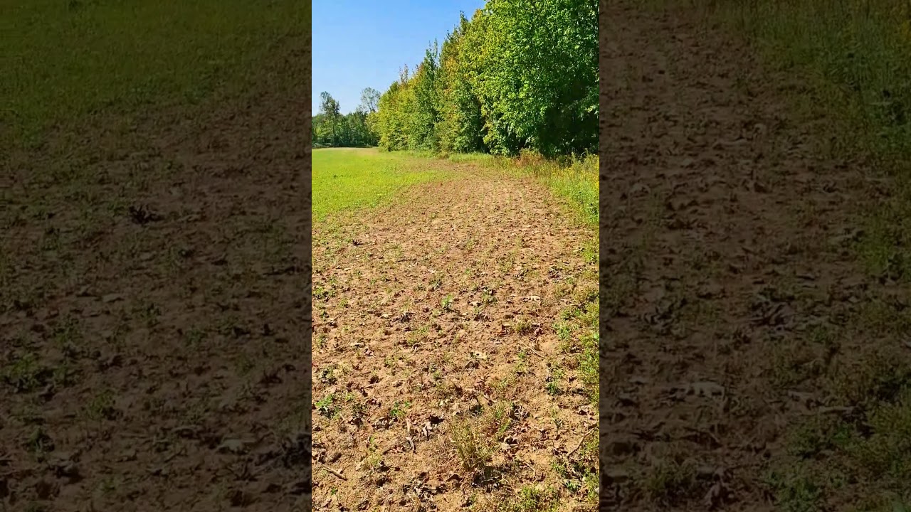 Prime Kentucky Hunting Leases: Expert Tips for Scouting Success