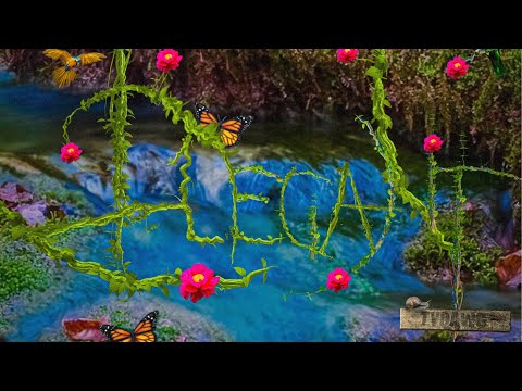 TyDawg - Elegant (Official Audio)