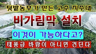 [텃밭농부 1,584]  내가 제작한 고추지주대에 비가림막 설치 이것이 가능하다고? #고추재배