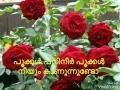 Pookkal Panineer Pookkal
