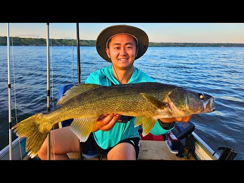 Bottom Bouncer &amp; Spinner Rig Walleyes