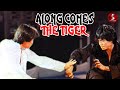 Along Comes The Tiger 1977 MARTIAL ARTS Full Movie