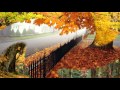 Осенняя сказка 