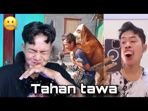 Hold back laughter #15 || Funny videos that will make you laugh || funny funny films