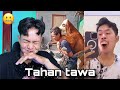 Hold Back Laughter 15 Funny Videos That Will Make You Laugh Funny Funny Films