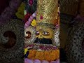 Shyam Baba Bhajn Badla Sherni Ka 28 Min Premanand Navratri Songs Shyam Shortfeed Explore Bts