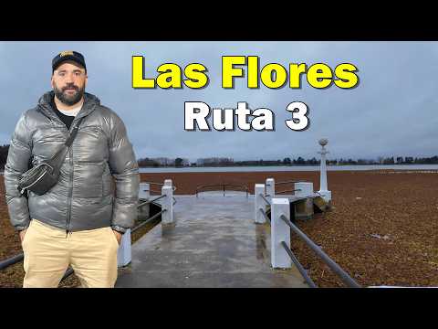 Ruta 3, amigos ,empanadas de osobuco y lentejas 🍴